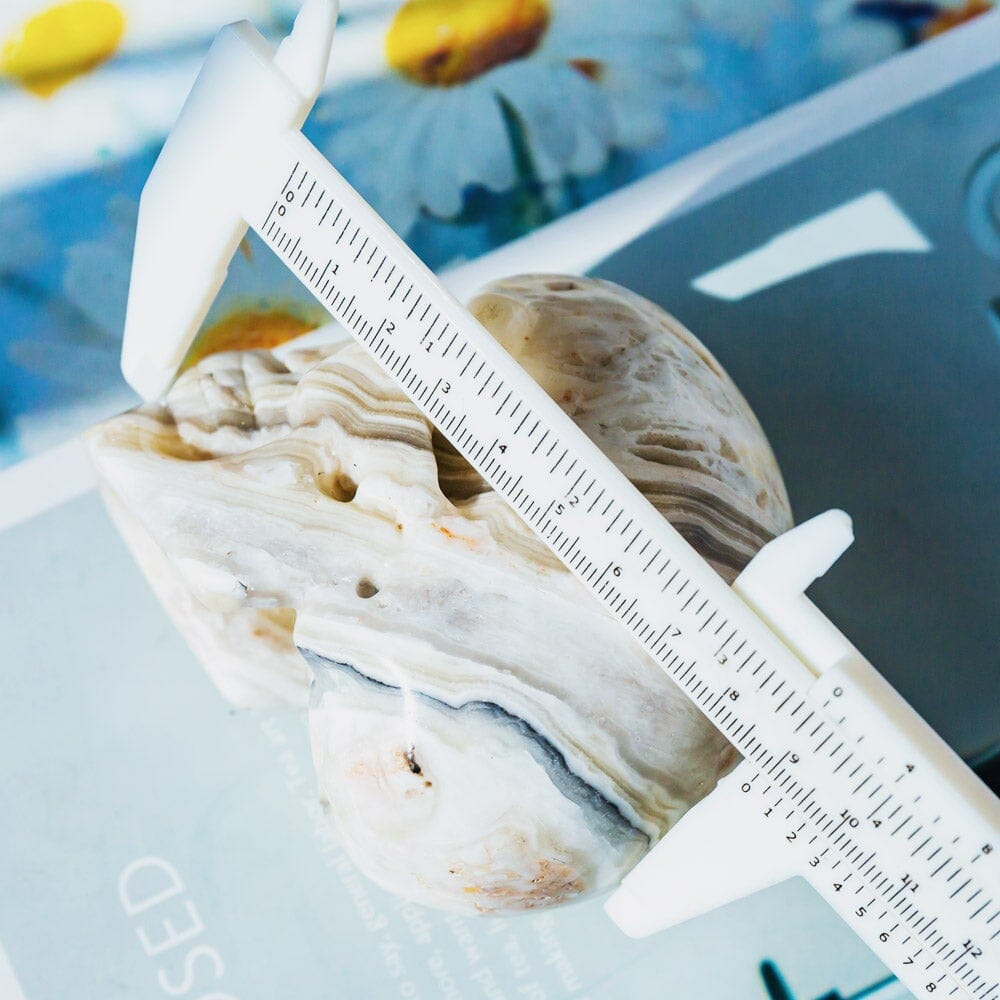Zebra Calcite Skull