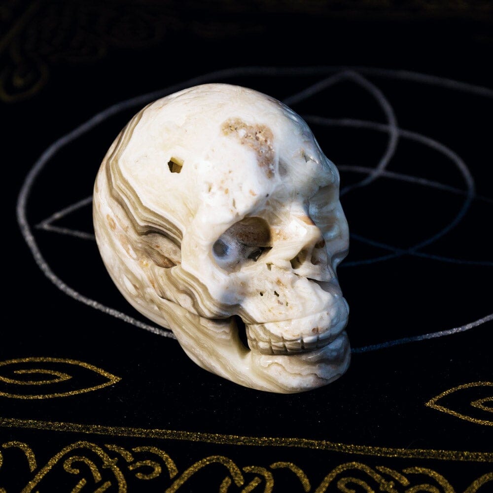 Zebra Calcite Skull