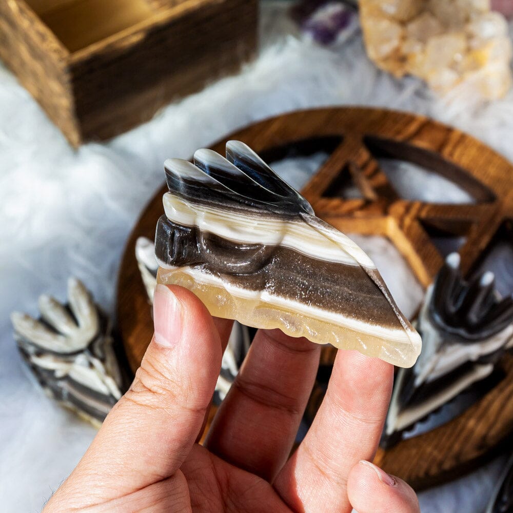 Zebra calcite Eagle skull