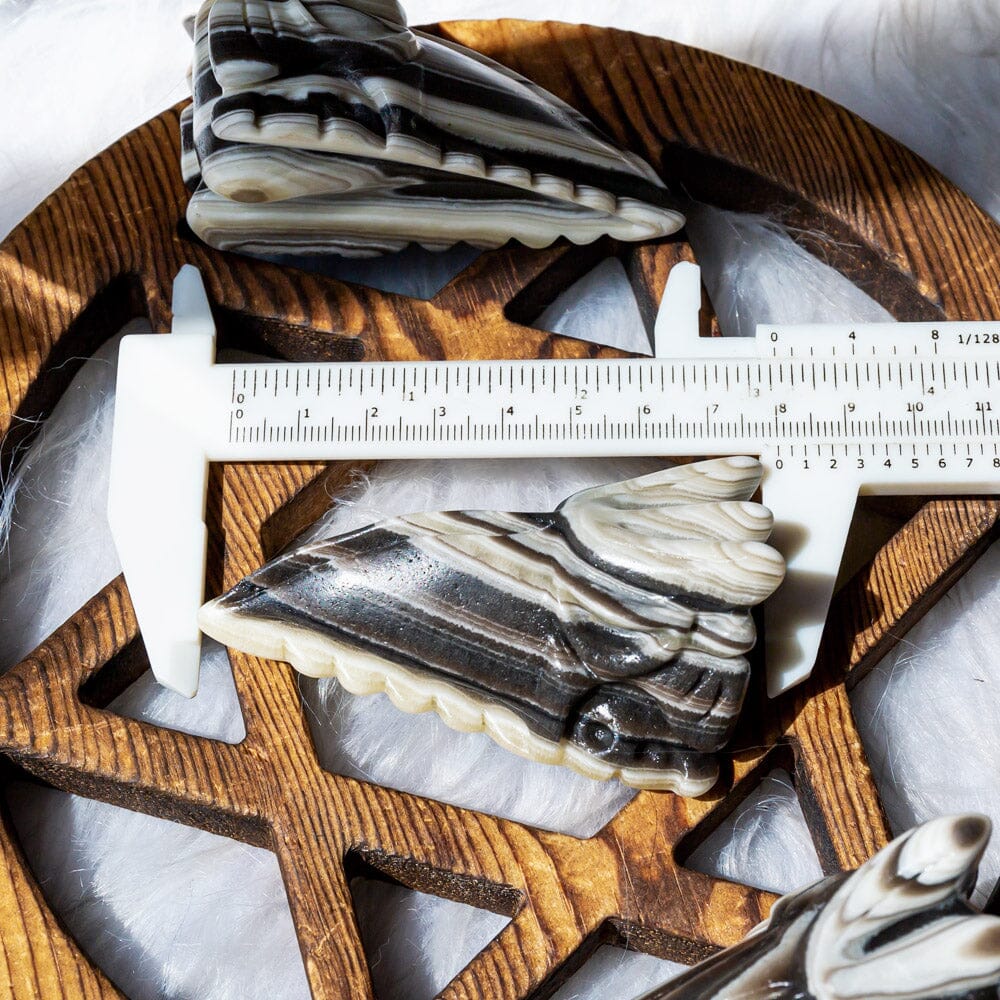 Zebra calcite Eagle skull