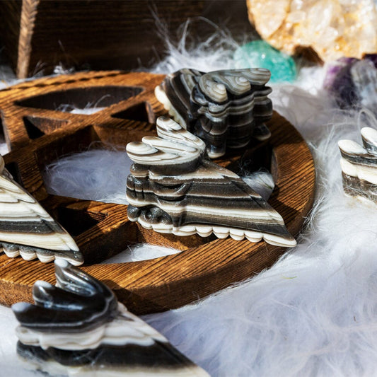 Zebra calcite Eagle skull