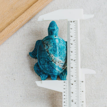 Blue Apatite Turtle