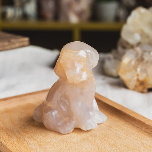 Flower Agate Dog