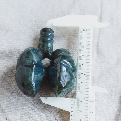 Crystal Human Lung