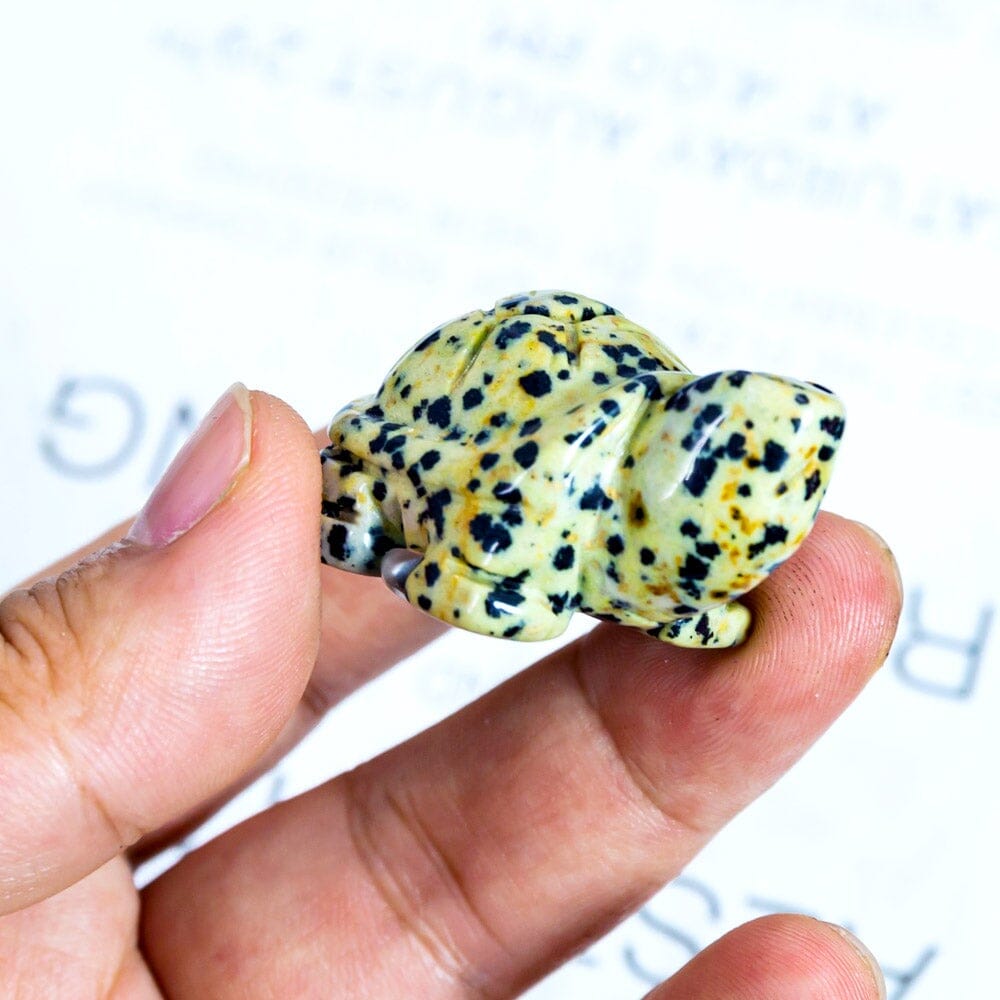 Crystal Turtle