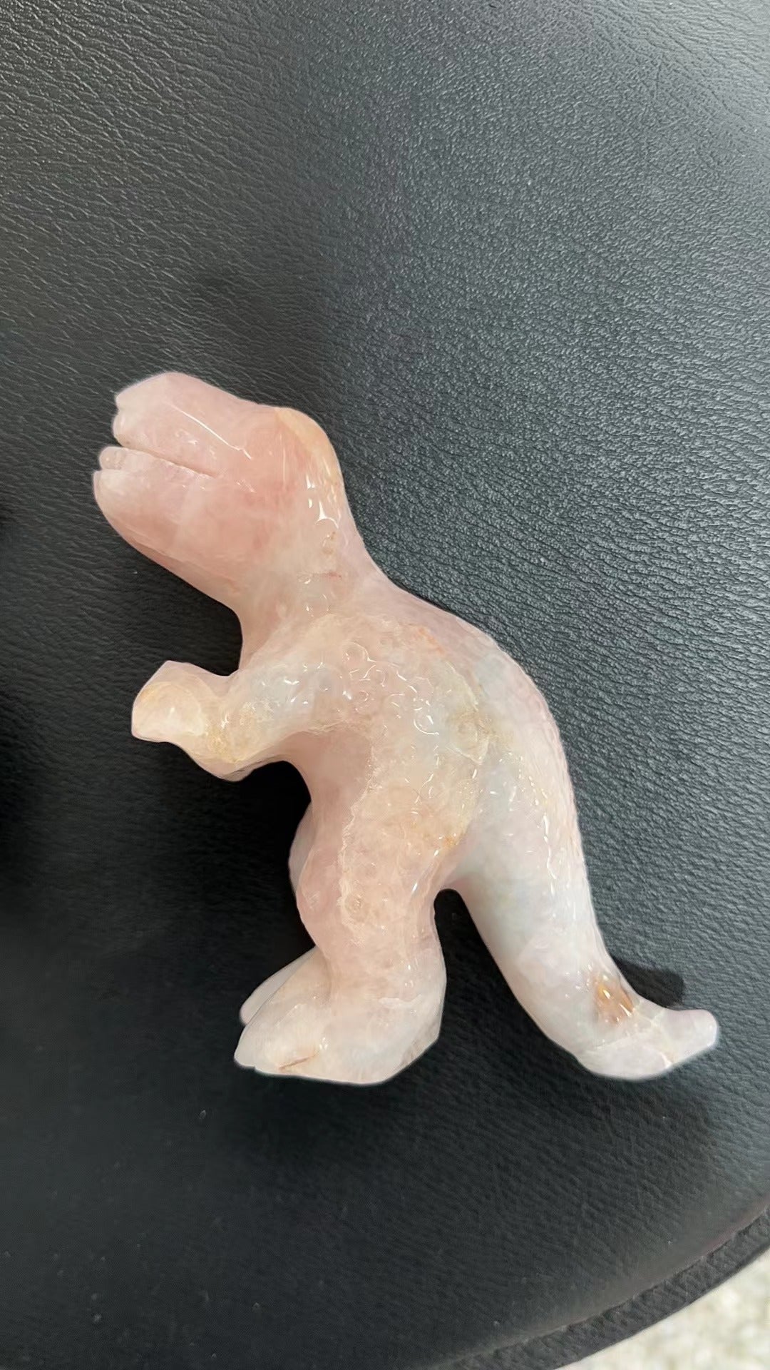 Dinosaur